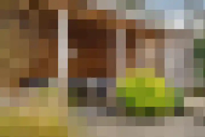 Maalsteenkreek 9 Wassenaar thumbnail 11