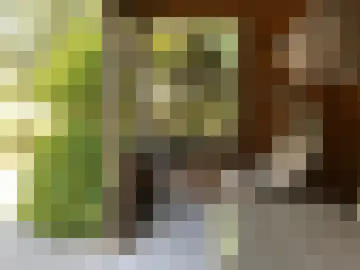 Maalsteenkreek 9 Wassenaar thumbnail 14