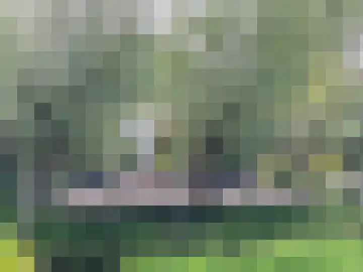 Maalsteenkreek 9 Wassenaar thumbnail 15