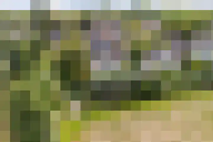 Maalsteenkreek 9 Wassenaar thumbnail 16