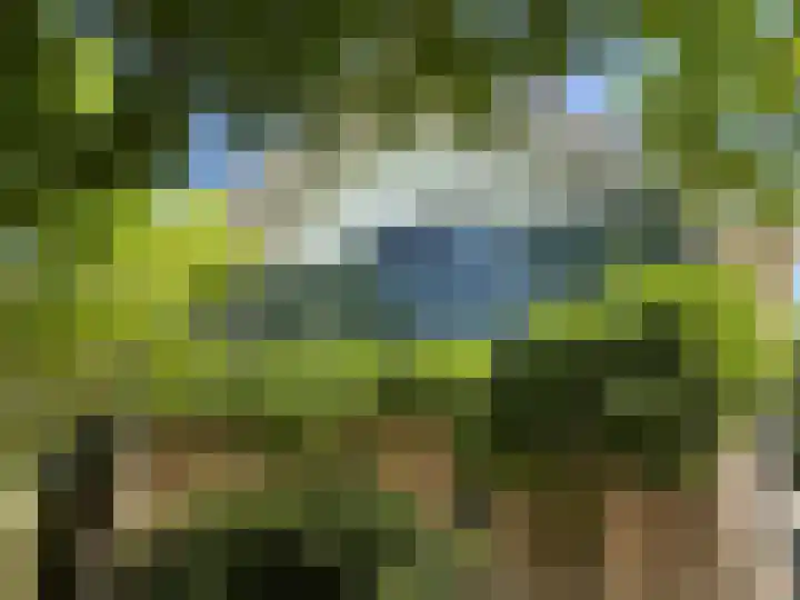 Maalsteenkreek 9 Wassenaar thumbnail 17