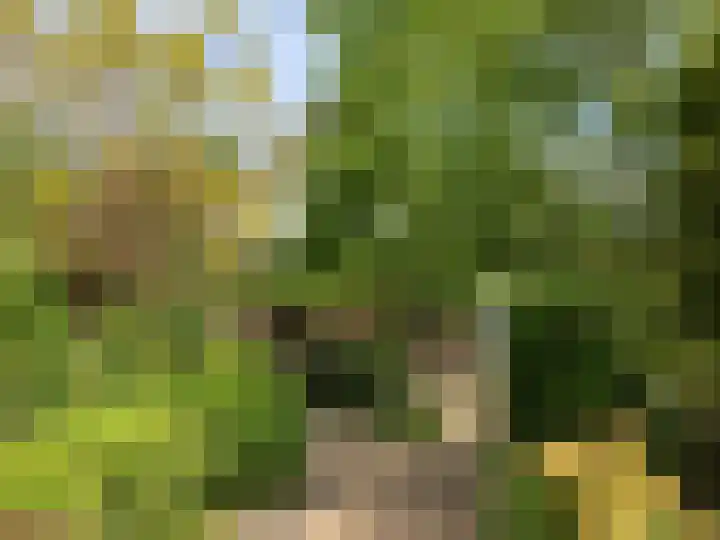 Maalsteenkreek 9 Wassenaar thumbnail 18