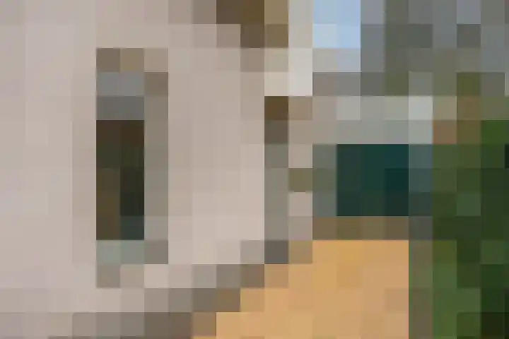 Maalsteenkreek 9 Wassenaar thumbnail 19