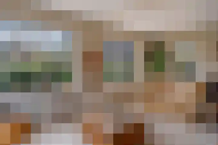 Maalsteenkreek 9 Wassenaar thumbnail 26