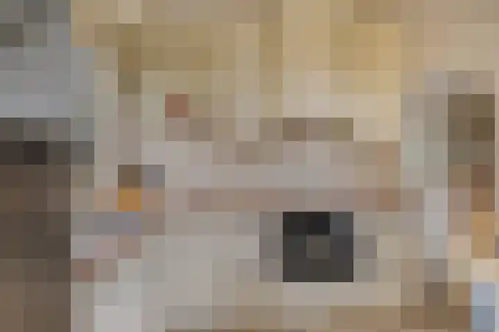 Maalsteenkreek 9 Wassenaar thumbnail 31