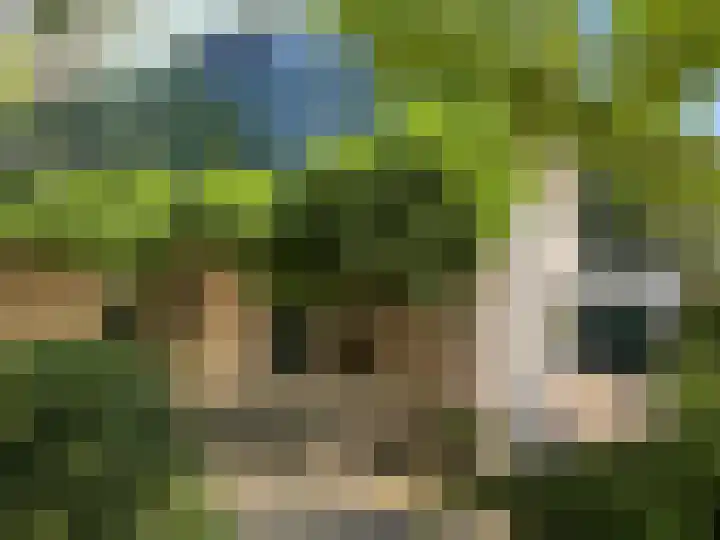 Maalsteenkreek 9 Wassenaar thumbnail 4