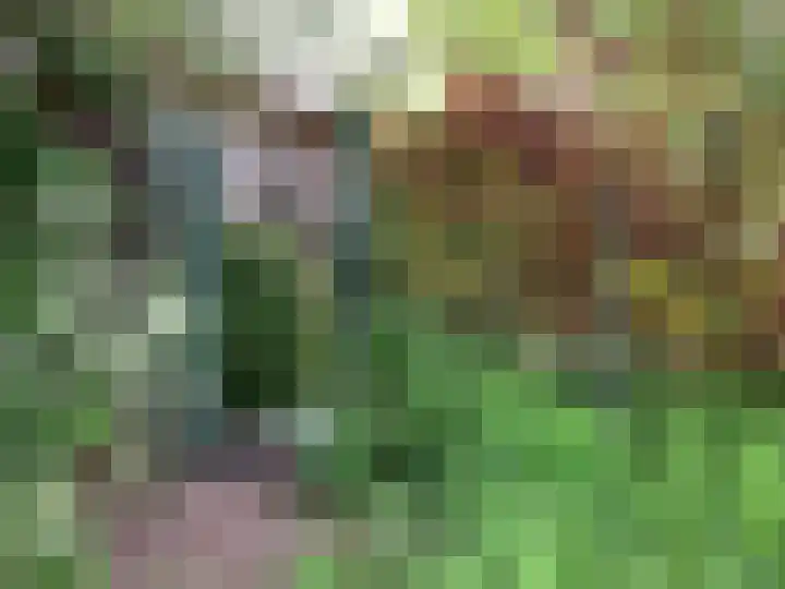 Maalsteenkreek 9 Wassenaar thumbnail 45