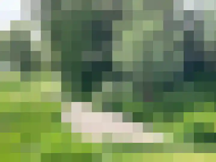 Maalsteenkreek 9 Wassenaar thumbnail 47
