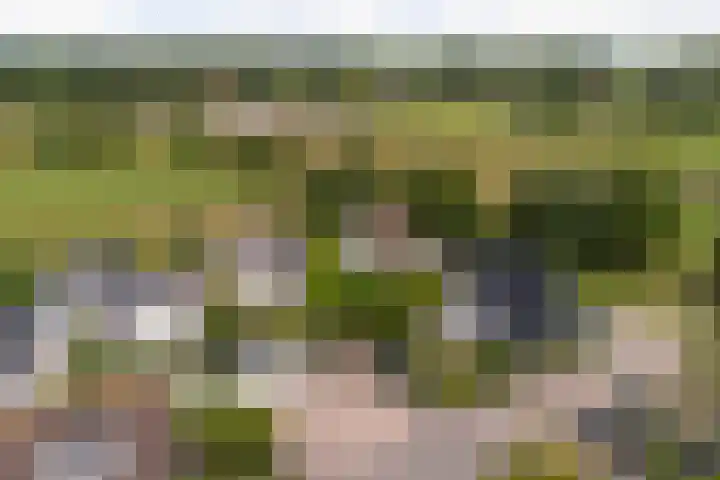 Maalsteenkreek 9 Wassenaar thumbnail 5