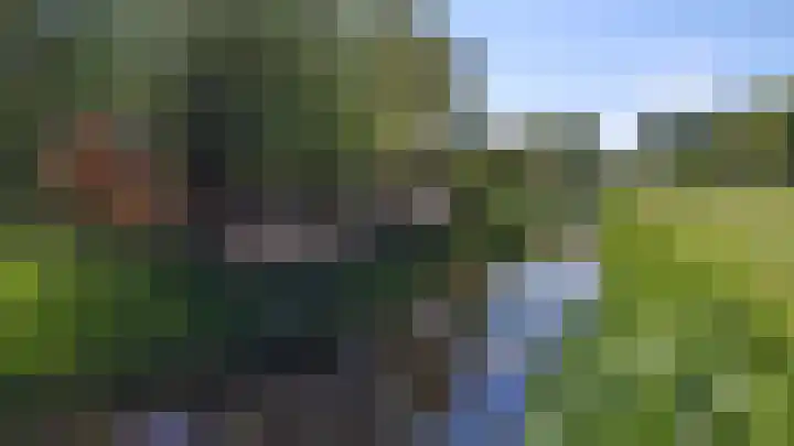 Maalsteenkreek 9 Wassenaar thumbnail 7