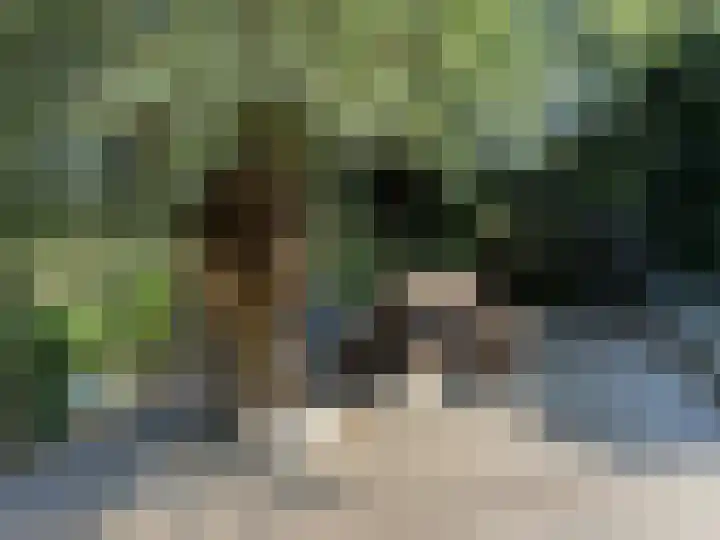 Maalsteenkreek 9 Wassenaar thumbnail 9