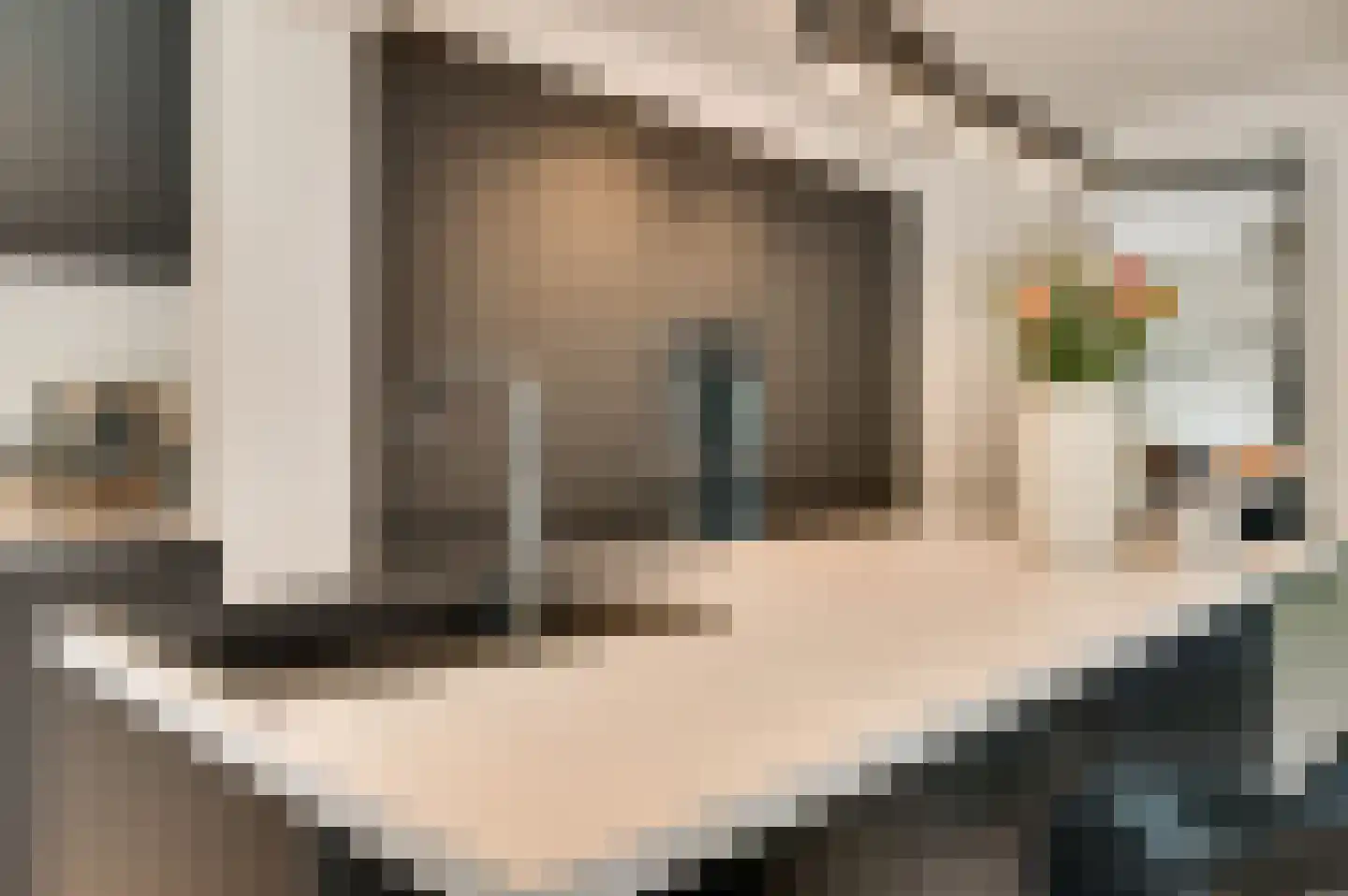 Maalsteenstraat 12 Urmond thumbnail 12
