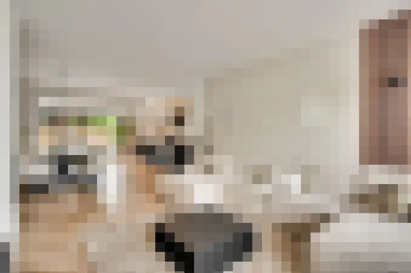 Maalsteenstraat 12 Urmond thumbnail 8
