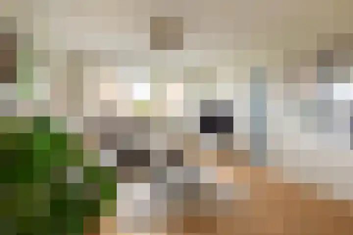 Maalsteenstraat 2 Urmond thumbnail 6