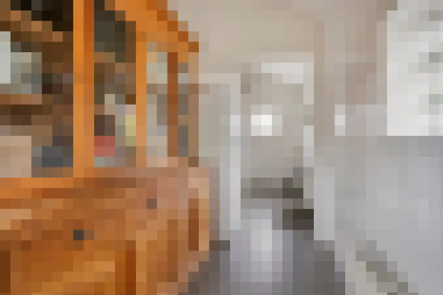 Maalstroom 31 Oostzaan thumbnail 22