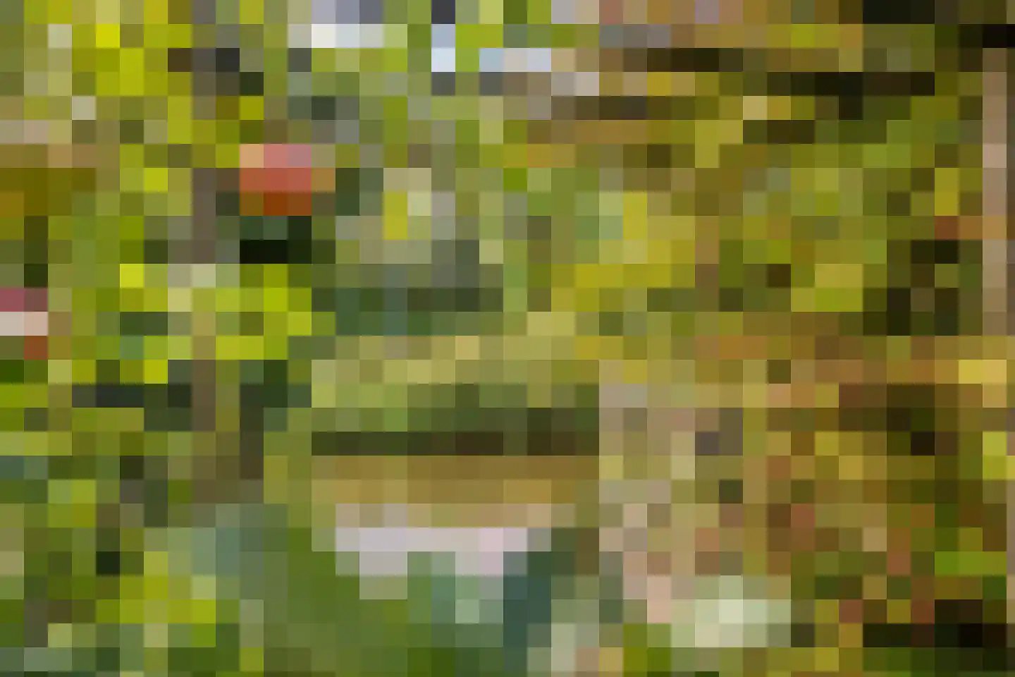 Maalstroom 31 Oostzaan thumbnail 30
