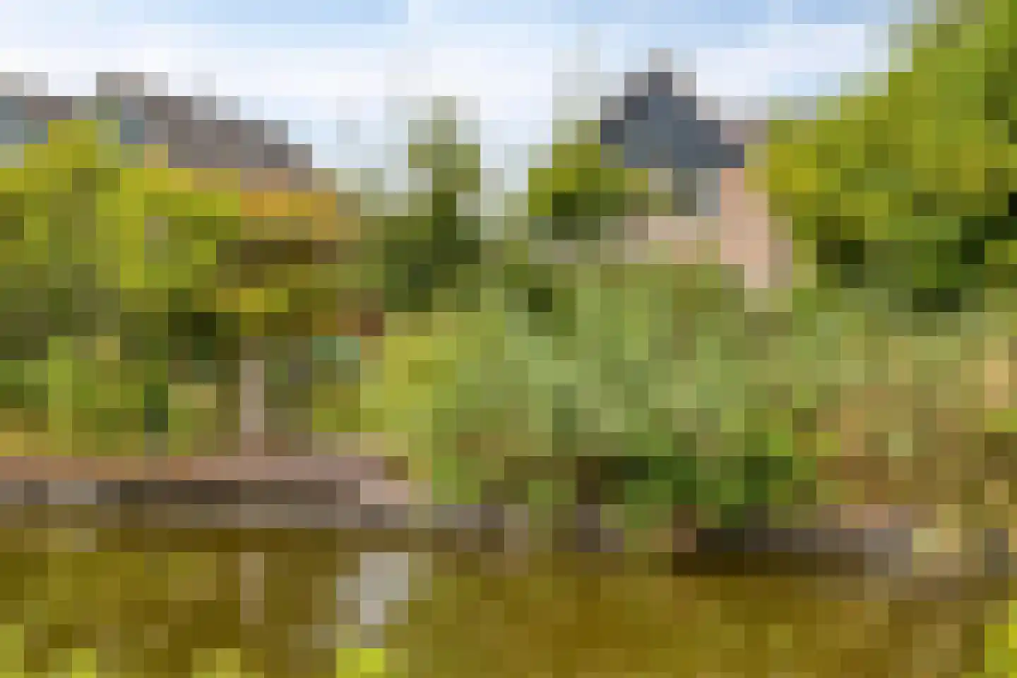 Maalstroom 31 Oostzaan thumbnail 32