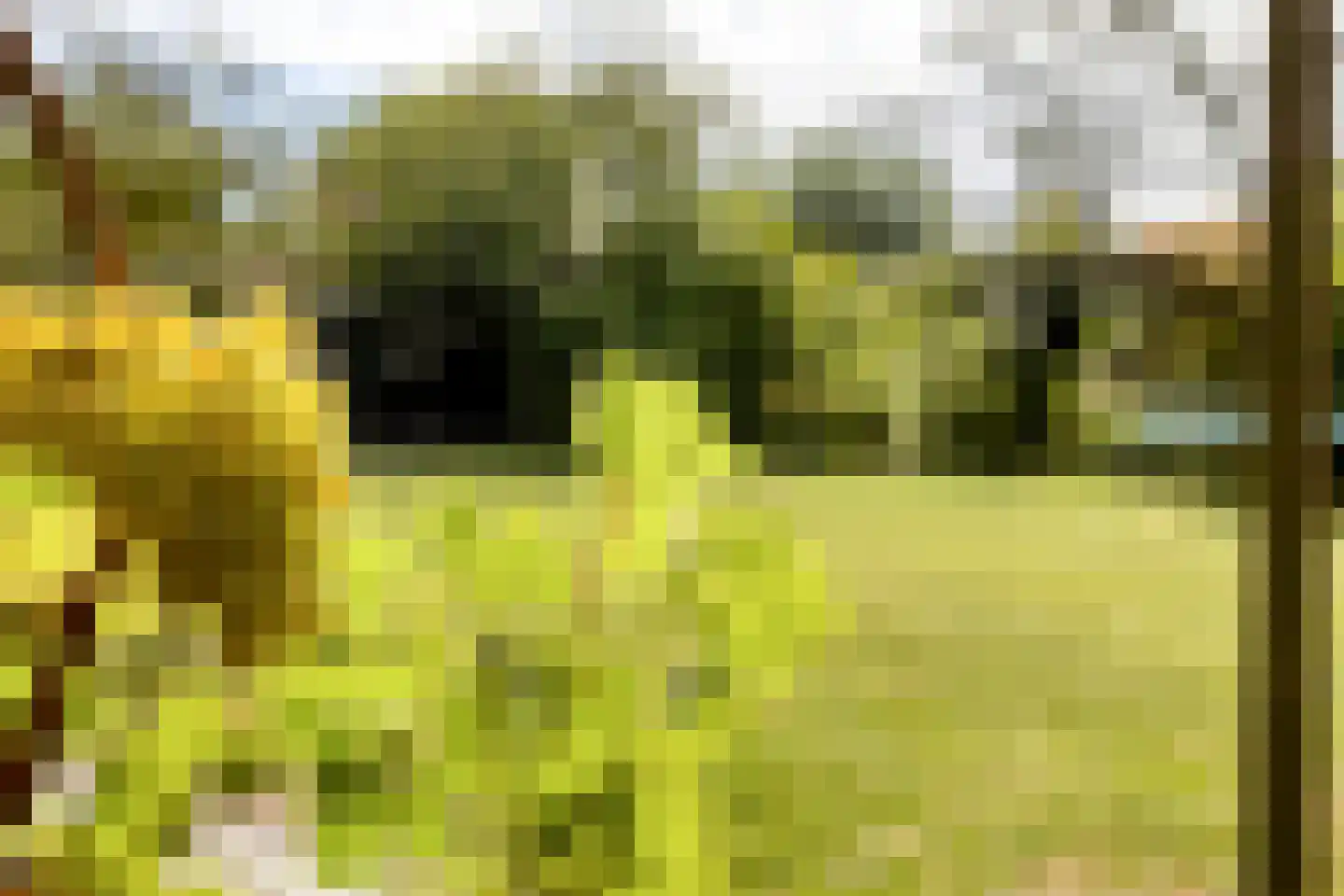 Maalstroom 31 Oostzaan thumbnail 55