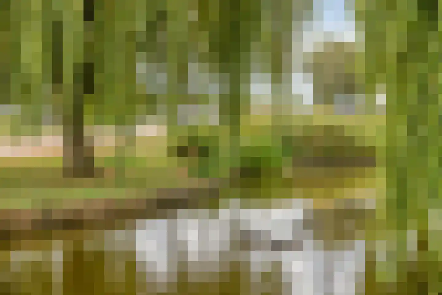 Maalstroom 31 Oostzaan thumbnail 56