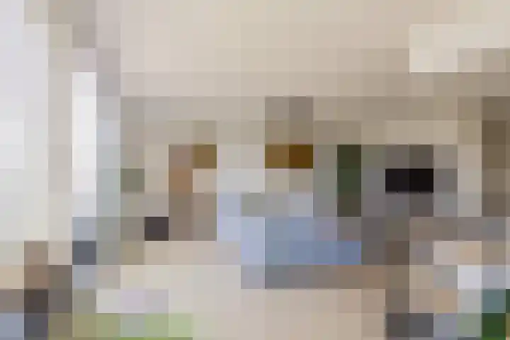 Maan Bastion 126 Velserbroek thumbnail 15