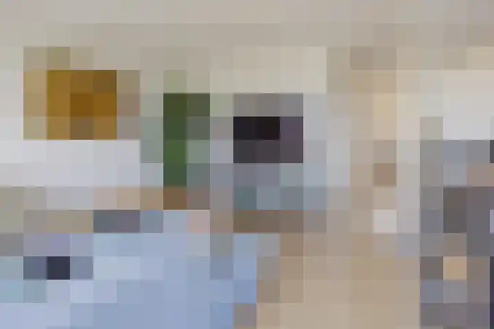Maan Bastion 126 Velserbroek thumbnail 16