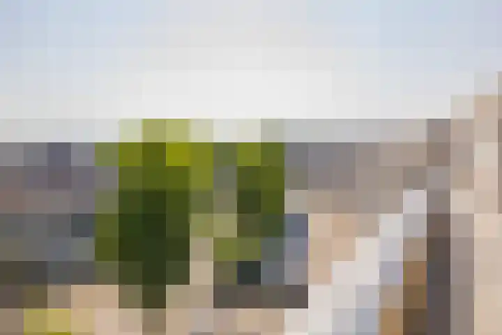 Maan Bastion 126 Velserbroek thumbnail 7