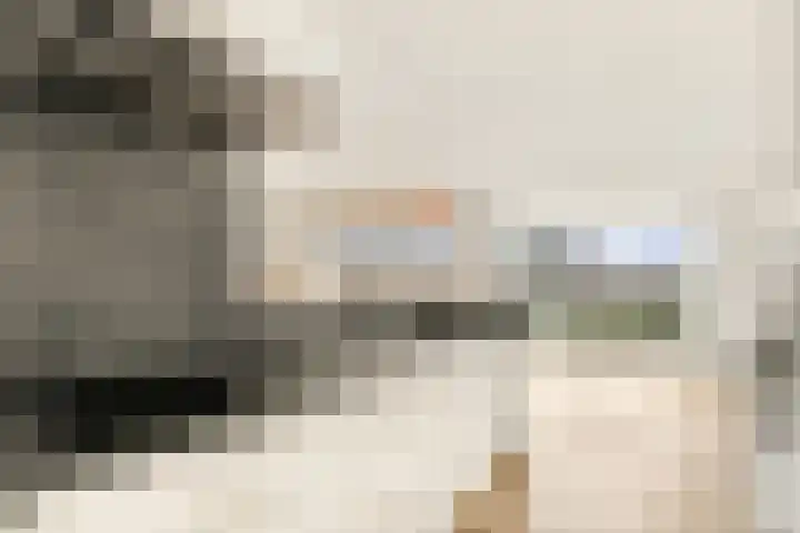 Maan Bastion 298 Velserbroek thumbnail 27