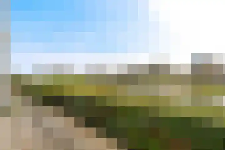 Maan Bastion 298 Velserbroek thumbnail 32