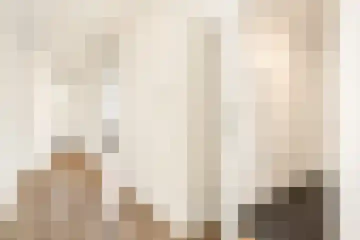 Maan Bastion 298 Velserbroek thumbnail 37