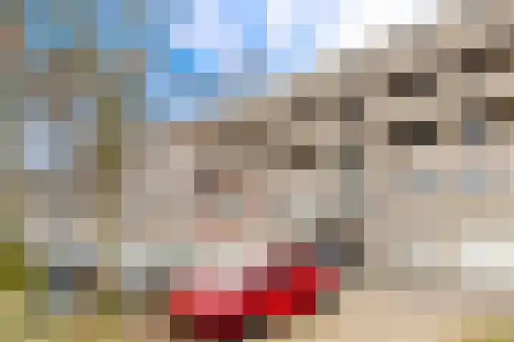 Maan Bastion 298 Velserbroek thumbnail 8