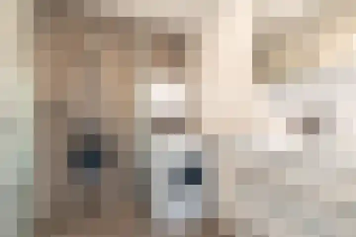 Maan Bastion 34 Velserbroek thumbnail 19