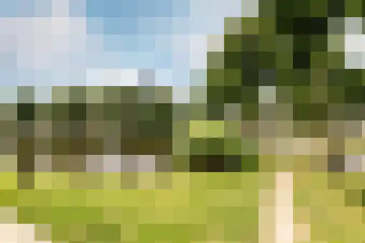 Maan Bastion 34 Velserbroek thumbnail 23