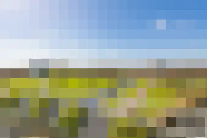 Maan Bastion 410 Velserbroek thumbnail 24