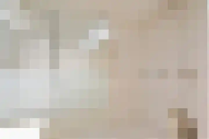 Maan Bastion 436 Velserbroek thumbnail 30