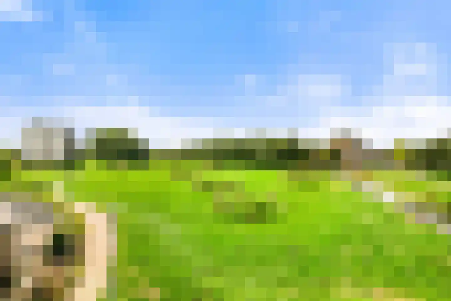 Maan Bastion 442 Velserbroek thumbnail 33