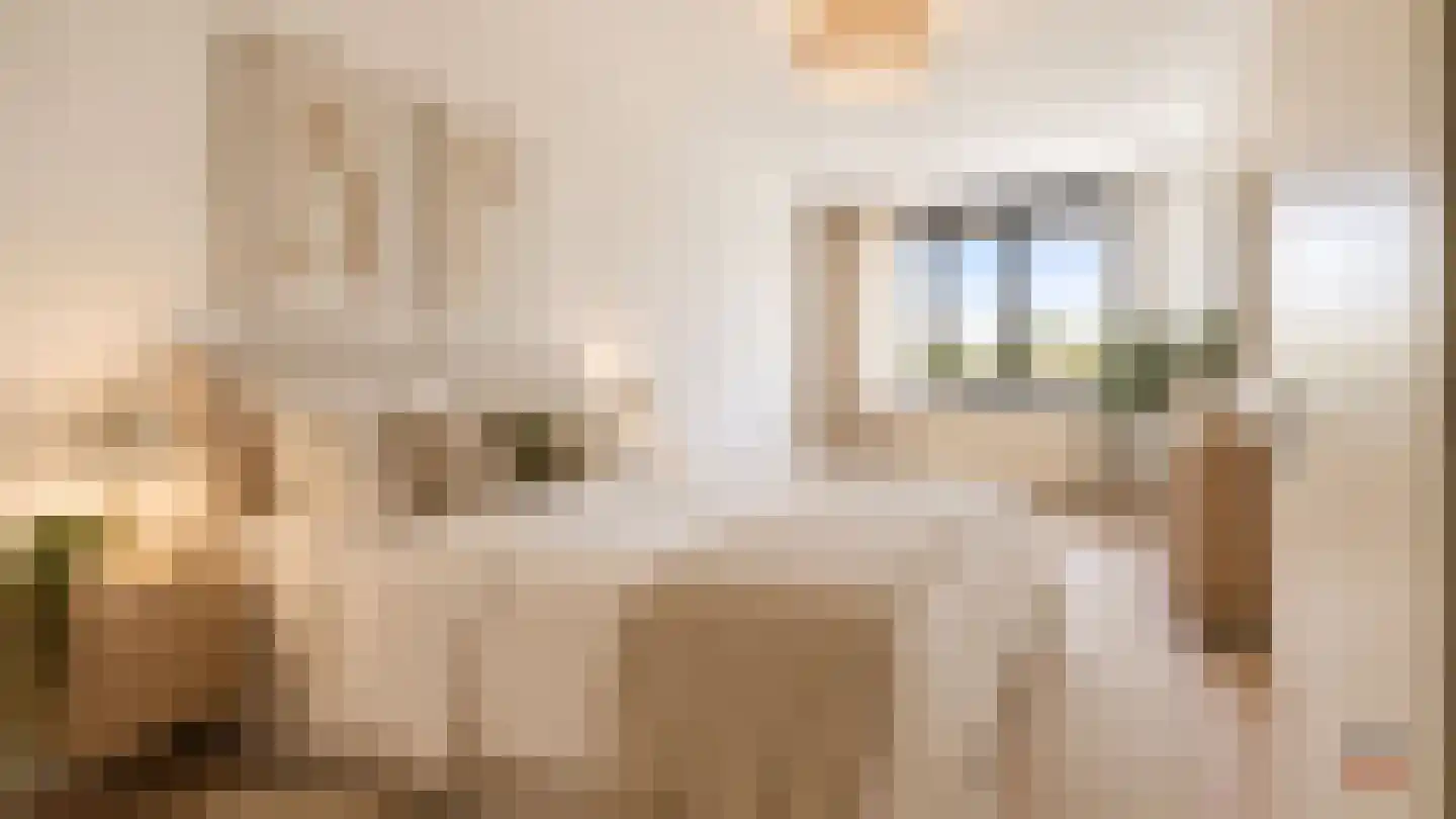Maan Bastion 442 Velserbroek thumbnail 37