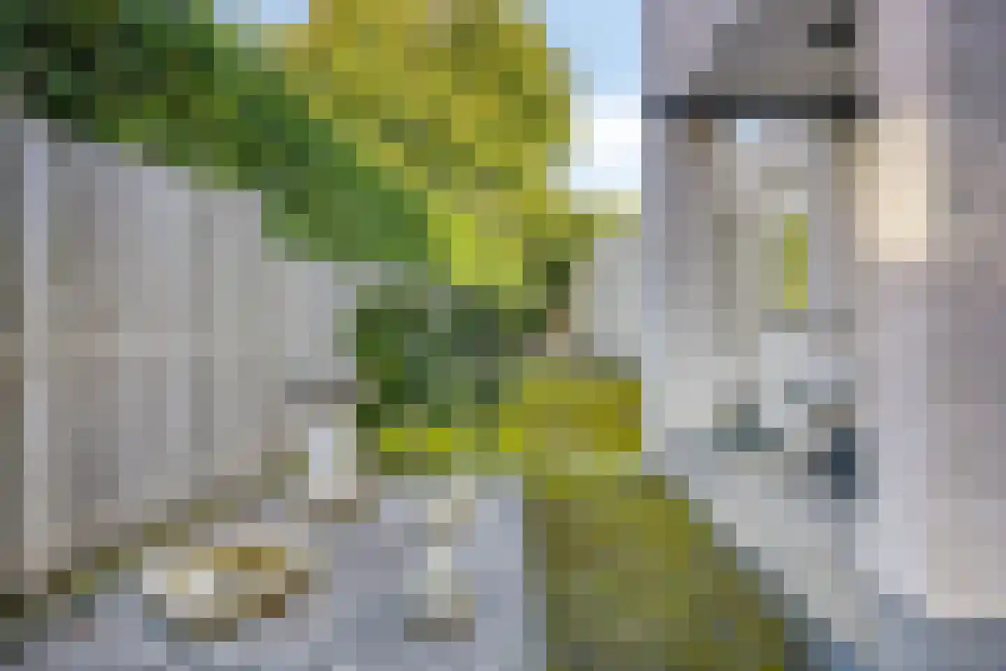 Maan Wijzenbeeklaan 1 Eindhoven thumbnail 48