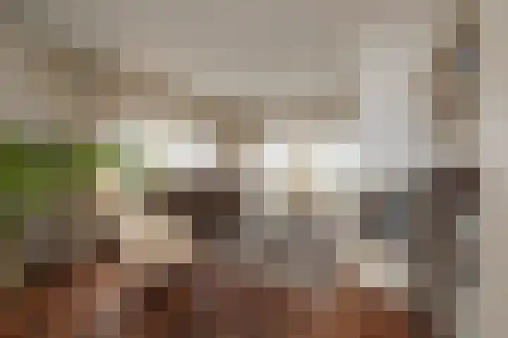 Maandagsewetering 192 Noordwijkerhout thumbnail 15