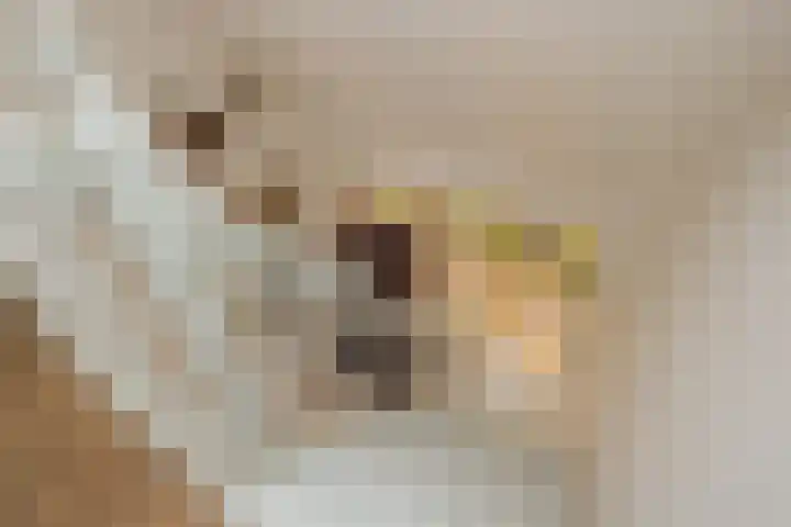 Maandagsewetering 192 Noordwijkerhout thumbnail 34