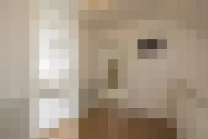 Maandagsewetering 192 Noordwijkerhout thumbnail 35