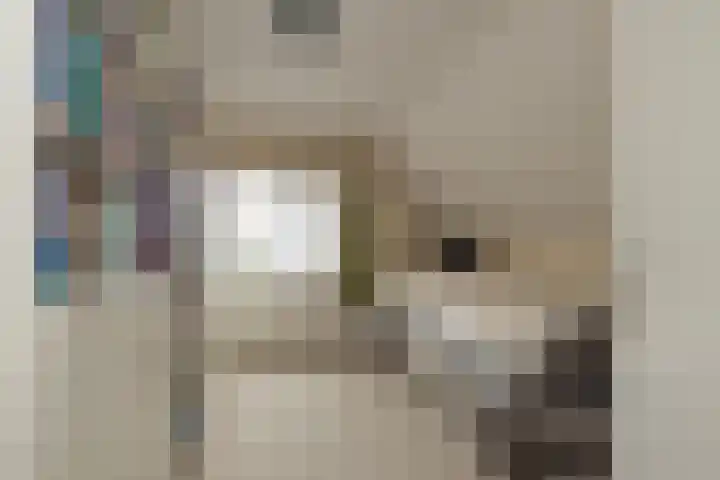 Maandagsewetering 192 Noordwijkerhout thumbnail 37