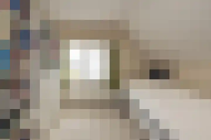 Maandagsewetering 192 Noordwijkerhout thumbnail 38