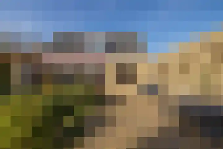 Maandagsewetering 192 Noordwijkerhout thumbnail 47