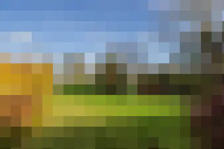 Maandagsewetering 192 Noordwijkerhout thumbnail 49