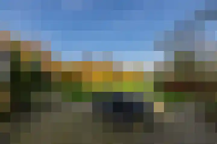 Maandagsewetering 192 Noordwijkerhout thumbnail 50