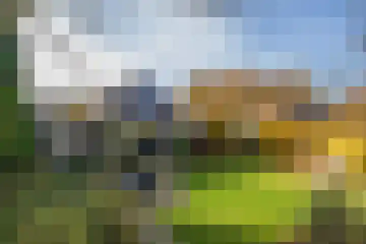 Maandagsewetering 192 Noordwijkerhout thumbnail 53