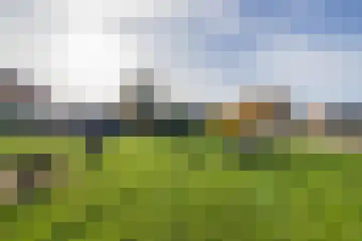 Maandagsewetering 192 Noordwijkerhout thumbnail 56