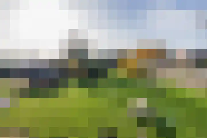 Maandagsewetering 192 Noordwijkerhout thumbnail 57