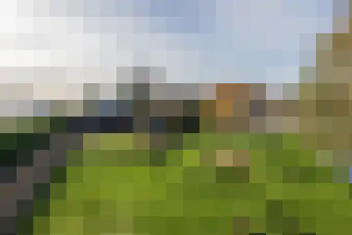 Maandagsewetering 192 Noordwijkerhout thumbnail 60