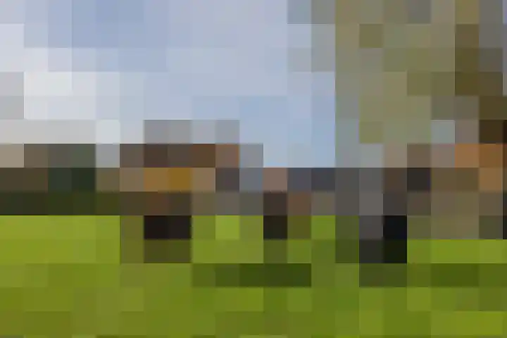 Maandagsewetering 192 Noordwijkerhout thumbnail 61